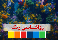 روانشناسی رنگ‌ها: تأثیر رنگ‌ها بر ذهن و رفتار انسان | روانشناسی فردی | مرکز مشاوره باران