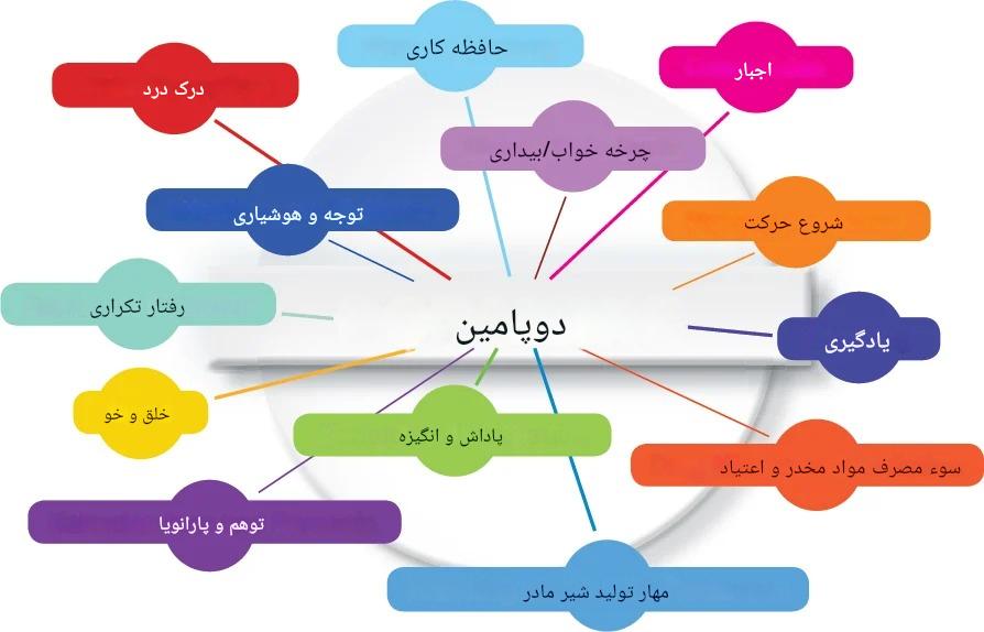 دوپامین و زندگی مدرن؛ آیا مغز ما به محرک‌های سریع معتاد شده است؟ | مرکز مشاوره باران